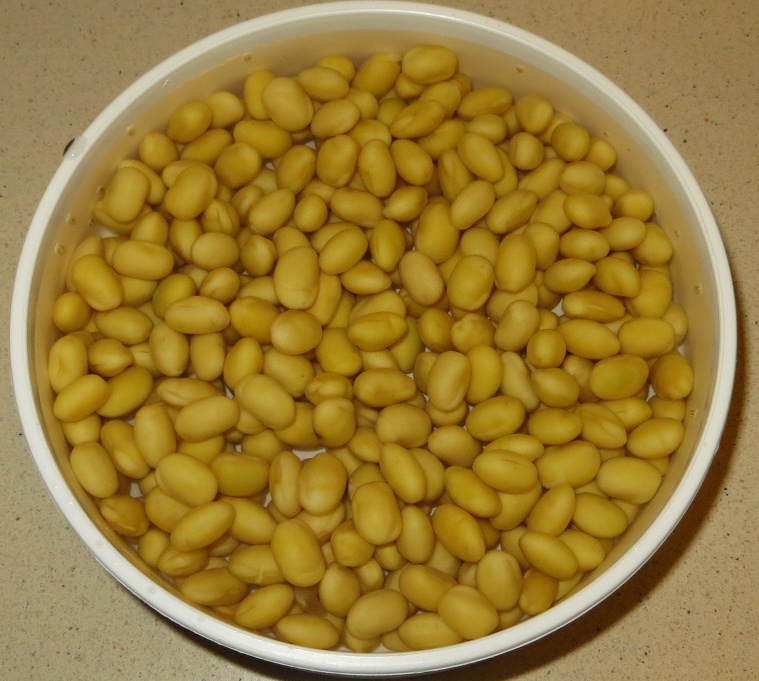 soaked soya beans